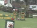 CABALLO DE SALTO EN VENTA