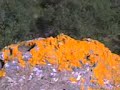 Marocco - tabi3a