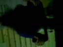 Jessikas cykellopp p� motionscykel