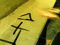 Murales Murales