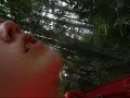 Reanna sees a sasquach.