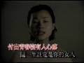堂娜-一廂情願(KTV)