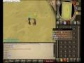 Ms014 & Don Magichan --- A Day @ duel arena