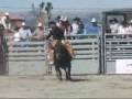 videos de drew baker bull riding