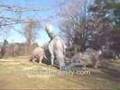 submitted by winchesterwebmaster on Thu Jul 3 2008 at 03:18am
