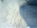 Thumbnail #1