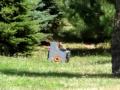 Mosin Nagant 91/30