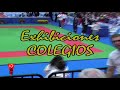 Exhibición de Jiu Jitsu
