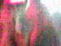 chelo