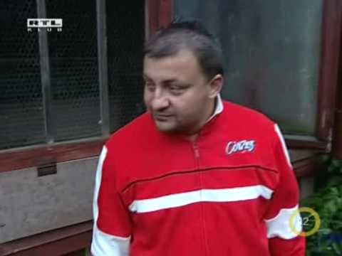 Galambok Gy�zinek