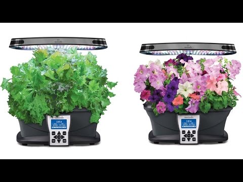 how to harvest aerogarden herbs