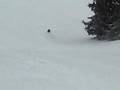 Wintersport
