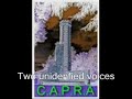 E.V.P from C.A.P.R.A