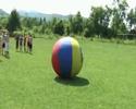 Tabara Quiver 2008 Dezna Tabara Quiver 2008 Dezna