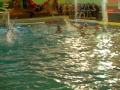 http://athleticwp46.blogspot.com/
goalkeeper