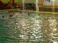 http://athleticwp46.blogspot.com/
goalkeeper