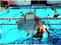 http://athleticwp46.blogspot.com/
goalkeeper