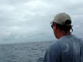 Fishing Videos  Video  georgetown blue