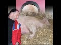 Hoch am Berg Alf Poier Hoch am Berg Alf Poier
