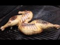 Cornell Chicken Recipe - How to Make Cornell Chick