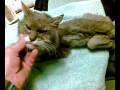 videos de farfy the last day pt1.