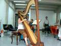 arpa clasica