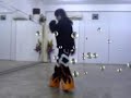 RHS shuffle Practice(David Style)