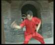 Fan Qiang fanzi quan