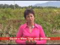 videos de [E] Montirius, #6 - a biodynamic wine grower, the story