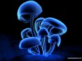 Untitled-2