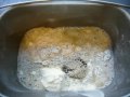 #445 Bread Machine Bread