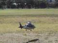 Agusta A09 Model Helicopter Adelaide