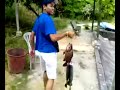 Peja The Siakap