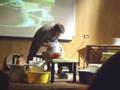 Chris Gustin at Tel-Hai 2007 Pottery Symposium