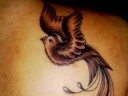 Xotic Tattoo