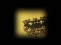 Elbow - DVD bonus - Puncture Repair
