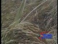 Mahaicony Rice Mills is looking to sell its assets and move on. May 23, 2012