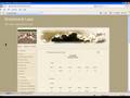 Amazing Greyhound System live part 1