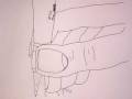 videos de circle animation