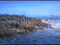 Fingals Cave,Staffa Island,Scotland