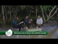 Ver Video