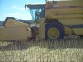 Moisson 2008 Colza New Holland (harvest)