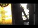 New Moon Trailer