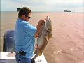 Texas Winter Black Drum Fishing Giant Fish