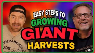 Tiny Tweaks = Huge Yields: Cannabis Grow Tips That Work