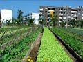 Carlos Puebla - Todo por la reforma agraria