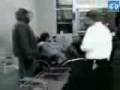 videos de We the Sheople
