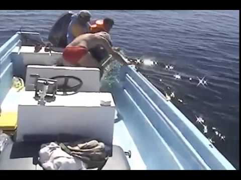 Image de prévisualisation YouTube