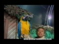 The Top UK Theme Parks pt3 The Top UK Theme Parks pt3