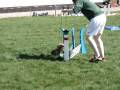 videos de Dojjan is jumping